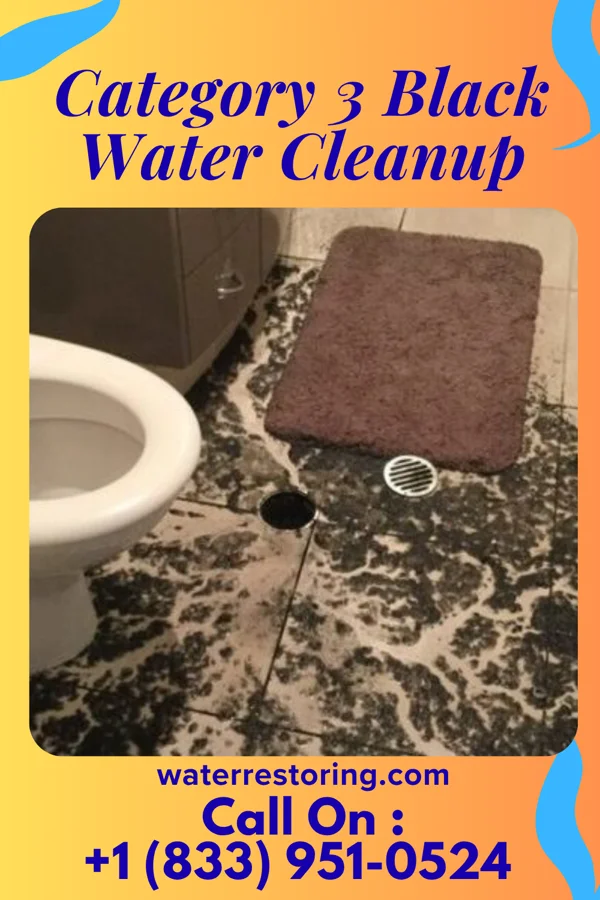 Category 3 Black Water Cleanup in Red Boiling Springs, TN