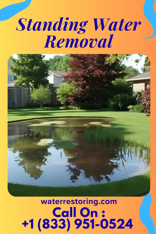 Standing Water Removal in Red Boiling Springs, TN